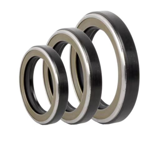Lippendichtung - SHIJIAZHUANG RUISUO SEAL SUPPLIES CO.,LTD - Thermoplast / Synthetik / kreisförmig