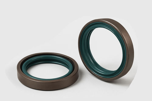 Lippendichtung - SHIJIAZHUANG RUISUO SEAL SUPPLIES CO.,LTD - Gummi / aus FKM / kreisförmig