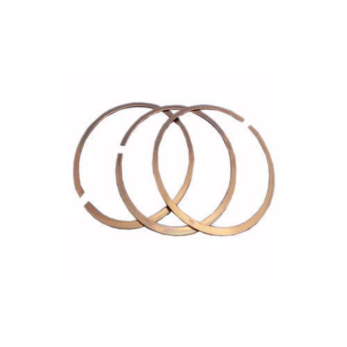 Befestigungs-Dichtungsring - FK3 AS - Zhejiang Lisheng Spring Co., Ltd. - Einzelkante / für Lager / Gusseisen