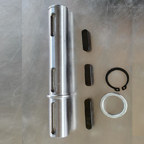 Ausgang-Welle - CYRV30-CYRV 110 - Chenyue (Jiangsu) Technology Co., Ltd. - Metall / für Untersetzungsgetriebe