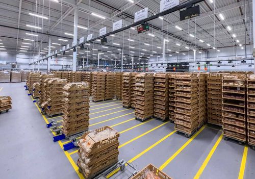 Kommissionieranlage / put to light - Pcdata Logistics Automation - für die Tabakindustrie / für die Kosmetikindustrie / für Intralogistik