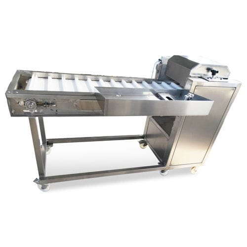 Fischschneidemaschine - Bokang Machinery - automatisch / Edelstahl / bodenstehend