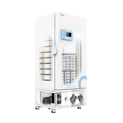 Vertikaler Gefrierschrank - BDW series  - BEING TECHNOLOGY - Labor / Niedrigtemperatur / Edelstahl