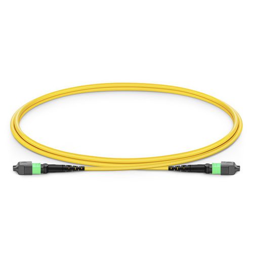 LWL-Patchkabel - Wuhan Yilut Technology Co., Ltd. - Typ MPO / Pigtail