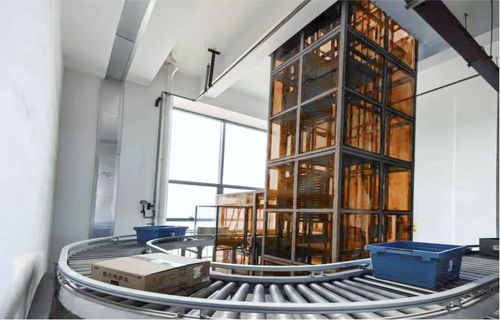 Kontinuierlicher Förderer - Suzhou APOLLO Automation Equipment Co., Ltd - Band / Ketten / horizontal