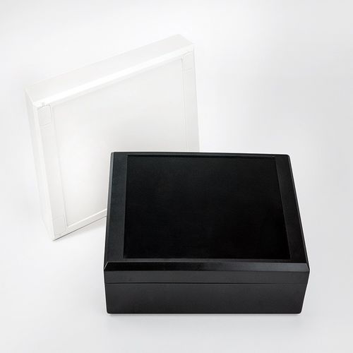 Wandmontiertes Gehäuse - BISBOX - Supertronic - Desktop / mobil / rechteckig