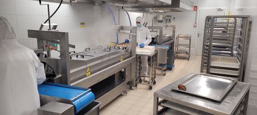 Kontinuierliche Fritteuse - jose miguel sardinero blanco ( jsbmachinery) - Gemüse / für Snacks / Fleisch