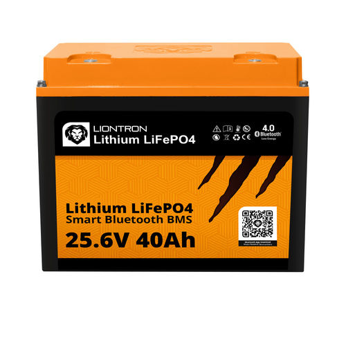 LiFePO4-Batterie - LISMART2440LX  - Liontron Ltd. - Block / M6 / CE
