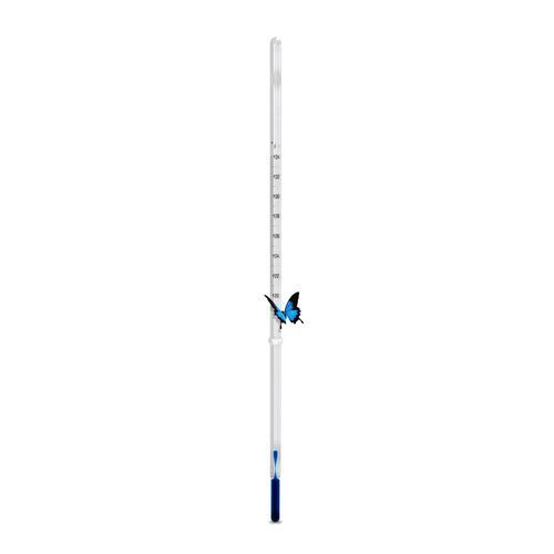 Glasthermometer - ACCU-SAFE - Ludwig Schneider GmbH & Co. KG - Flüssigkeitsausdehnung / mit direkter Anzeige / °C