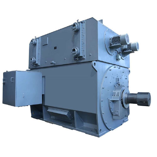 Induktionsmotor - TEFC - Dowei Electric - dreiphasig / Permanentmagnet / Gusseisen