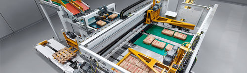 Palettierer mit Stapelmaschine - paletpac® - BEUMER Group GmbH & Co.KG - für Granulat / Umschlag / automatisch