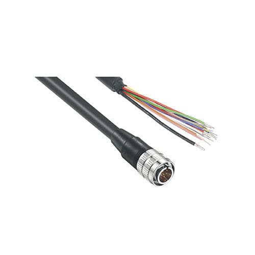 Stecker Netzkabel - 12P I/O - Odinvision - für IEC-Verbinder