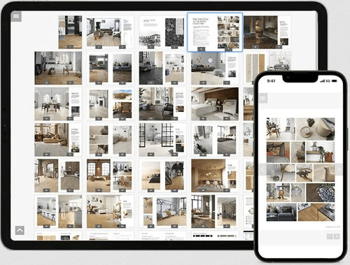 Publikationssoftware - Atom MAG - miller graphics - für die webbasierte Visualisierung / Browser / webbasiert