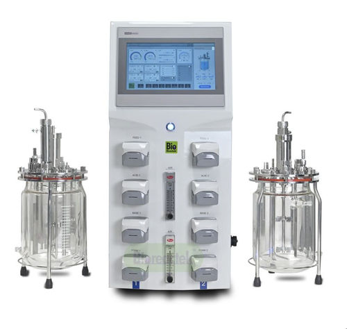 Rührkessel-Bioreaktor/Fermenter - BIOF-D series - Labfreez Instruments Group Co., Ltd - Labor / automatisch / automatisiert