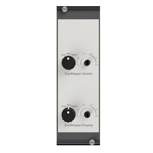 Analoges Ausgangsmodul - RAG1010-01 - Romutec Steuer- u. Regelsysteme GmbH - 2 Analogausgänge
