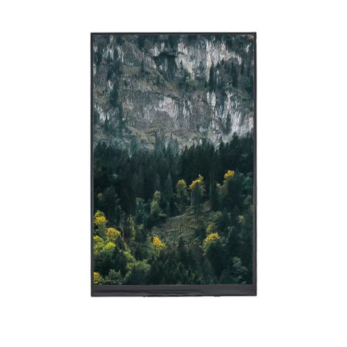 Displaymodul / TFT LCD - YX09020542416BB - Shenzhen Yousee Technology Co., Ltd. - Farb / 1024 x 600 / 9"
