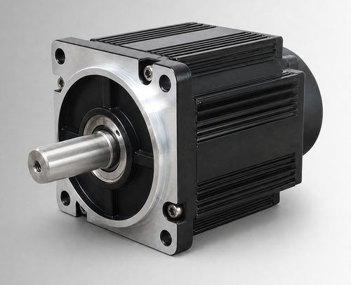Bürstenloser Motor - CW110BLBT-05030-L9-H - NEOTON MOTOR - BLDC / 144 V / mit Bremse