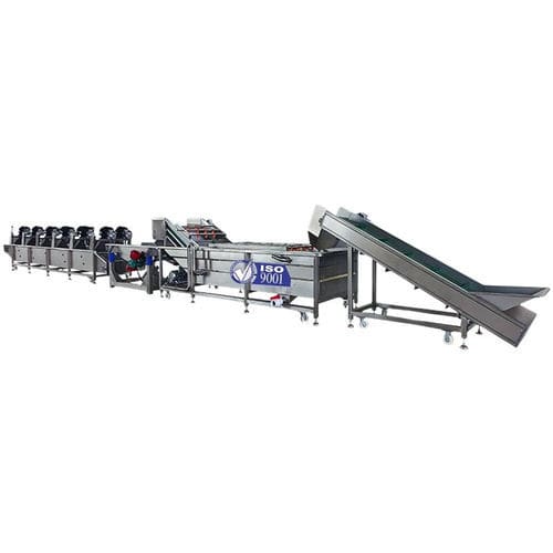Waschstraße für Lebensmittel / für Gemüse - Zhucheng Jiapin Food Machinery Co., Ltd. - für Obst / für Blattgemüse / für Wurzelknollen