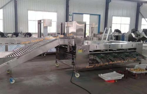 Sortieranlage für die Lebensmittelindustrie - Henan Hongtu Machinery Manufacturing Co., Ltd. - für den Landwirtschaftsbedarf / Industrie / optisch
