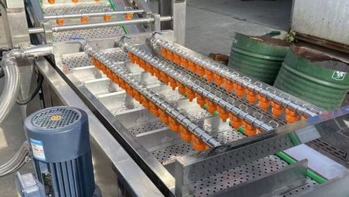 Gemüse-Waschanlage - Henan Hongtu Machinery Manufacturing Co., Ltd. - für Obst / Spinat / für Erdbeeren