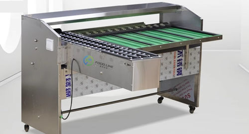 Kalibrieranlage für Eier - FL-G series - Henan Hongtu Machinery Manufacturing Co., Ltd. - optisch / mechanisch / Rollen