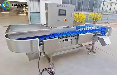 Sortierungs-Kalibrieranlage - FX100 - Henan Hongtu Machinery Manufacturing Co., Ltd. - für Obst und Gemüse / für Gemüse / für Obst