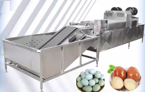 Lebensmittel-Waschanlage / Eier - Henan Hongtu Machinery Manufacturing Co., Ltd. - automatisch / Bürsten / Klarspül