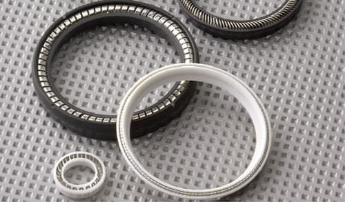 Lippendichtung - MSE® - GREENE TWEED - gefederte / PTFE / kreisförmig