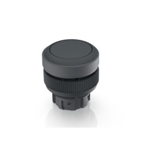 Federdruck-Drucktaster - RAFIX 22 QR series - RAFI GmbH & Co. KG - IP65 / für Schalttafeleinbau / tastend