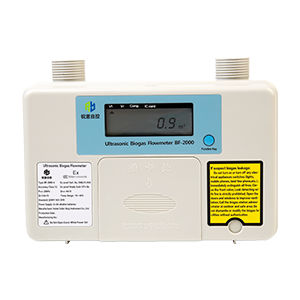 Digitaler Gaszähler - BF-2000 - Cubic Sensor and Instrument Co.,Ltd - Ultraschall