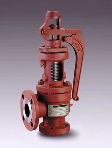 Sicherheitsventil für Dampf - 6400, 6600 - Farris Engineering