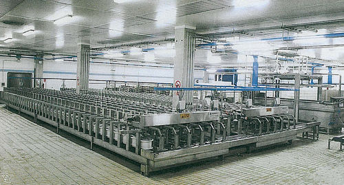Pneumatische Presse - Magnabosco - für die Formgebung / für Produktion