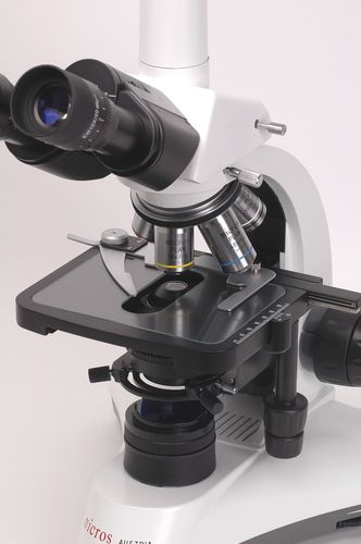 Optisches Mikroskop - 5 W LED | Orchid MCX300 - MICROS Produktions- & Handels GmbH. - bio-medizinisch / Tisch / Digitalkamera