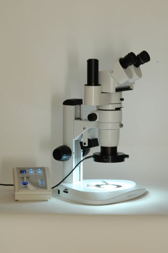 LED-Illuminator - SATURN - MICROS Produktions- & Handels GmbH. - weiß / kompakt / für Mikroskop