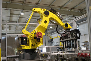 Vertikaler Kartonpacker - Hartness - Roboter