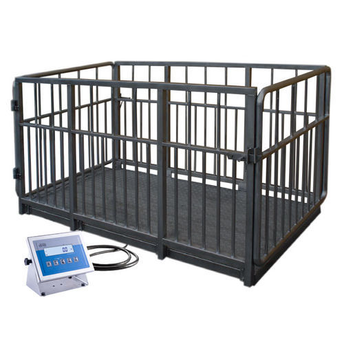 Waage für Vieh - H315 4I series - RADWAG - Plattform / Kilogramm / mit separatem Anzeiger