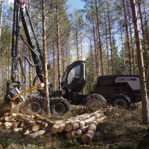 Holzerntemaschine auf Raupen - 6HP GTE - Oy Logset Ab