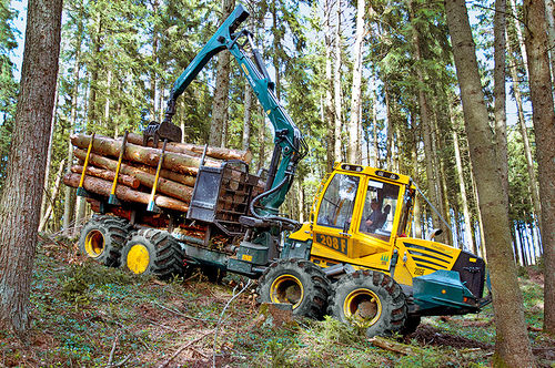 Forwarder - HSM 208F 6WD 12t - HSM - Hohenloher Spezial-Maschinenbau GmbH & Co. K