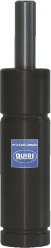 Edelstahl-Gasfeder - RG19  - QUIRI - für Automobilanwendungen / für industrielle Nutzung / Mikro