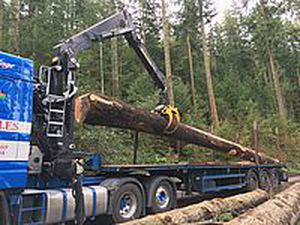 LKW-montierter Kran - 2121Z,2124Z - Kesla Oyj - Teleskop / für Forstwirtschaft / für Materialumschlag