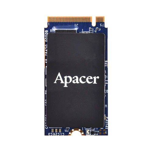 PCIe-SSD - PT250-M242 - Apacer Technology B.V. - mit Innenverbindung / M.2 / Industrie