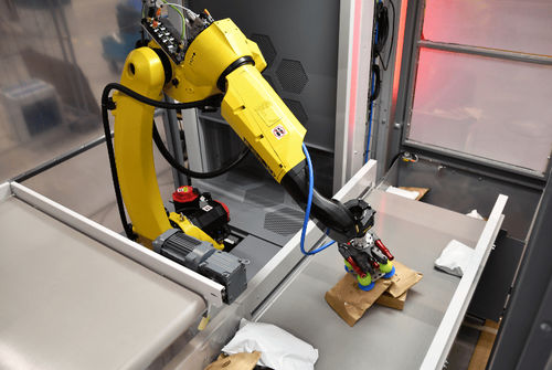 Sortierungs-Roboter - AUTO INDUCT - VANDERLANDE - Knickarm / 6-Achs / Umschlag