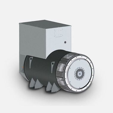 Dreiphasige Lichtmaschine - ECO46  - Mecc Alte - bürstenlos / 4-polig / Industrie