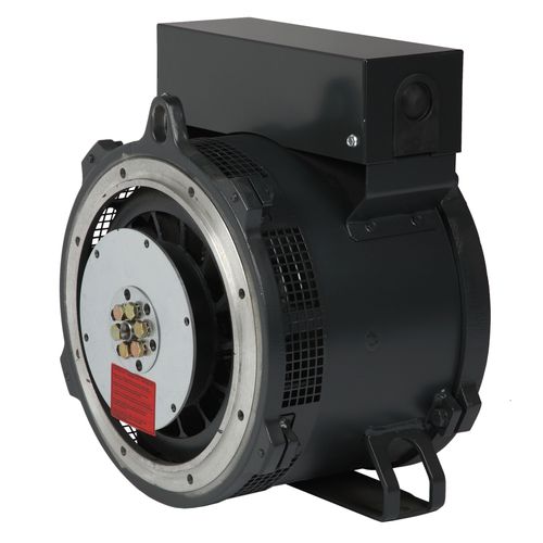 Dreiphasige Lichtmaschine - NPE31 - Mecc Alte - bürstenlos / zweipolig / Industrie