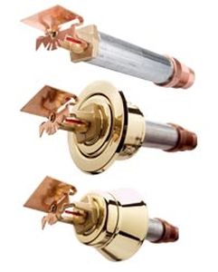 Trockener Sprinkler - DS series - Tyco