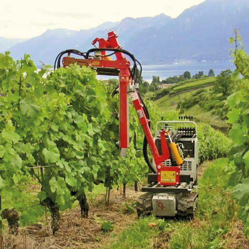 Mini dumper / auf Raupen - R 70 series - ROTAIR SPA - Benzin / Diesel / Fronthochkipper