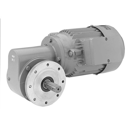 DC-Getriebemotor - SN 8 F - Ruhrgetriebe KG - dreiphasig / Schnecken / rechtwinklig