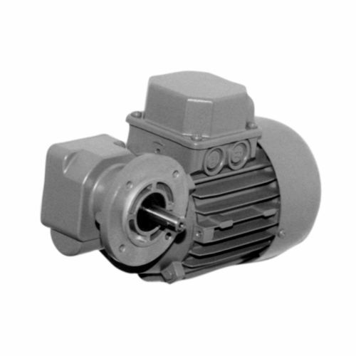 DC-Getriebemotor - SN 5 FR - Ruhrgetriebe KG - dreiphasig / Schnecken / rechtwinklig