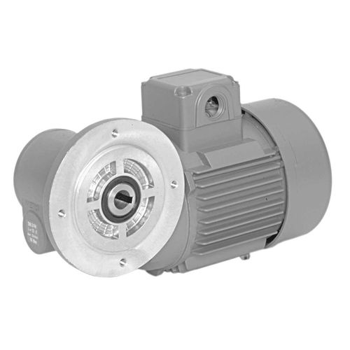 DC-Getriebemotor - SN 3 FH - Ruhrgetriebe KG - dreiphasig / Schnecken / rechtwinklig