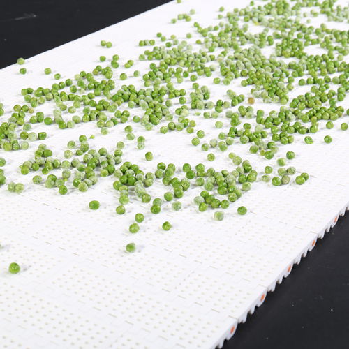 POM-Förderband - HS-101B/ 50.8MM picth - Huanan Xinhai (Shenzhen) Technology Co.,Ltd. - PP / aus PA / PE